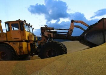 القمح الروسي