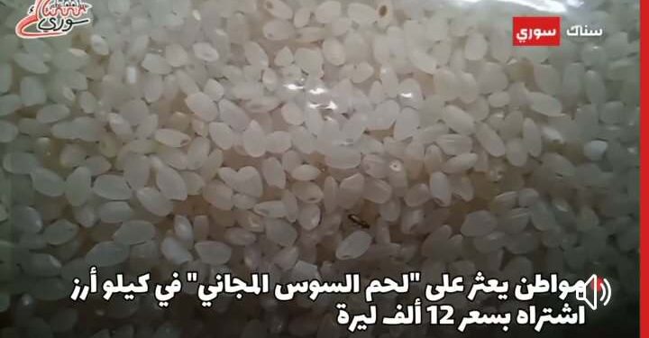 الأرز المسوس في سوريا.. بروتين مجاني يُزعج النباتيين