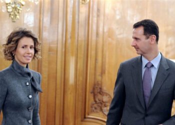 الاسد واسماء