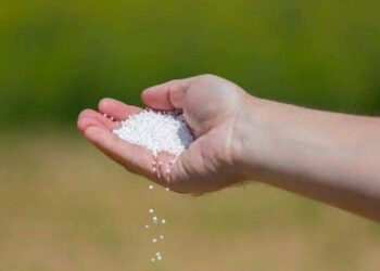 وزارة الزراعة تدعو المزارعين لاستلام الدفعة الأولى من الأسمدة الأزوتية والفوسفاتية