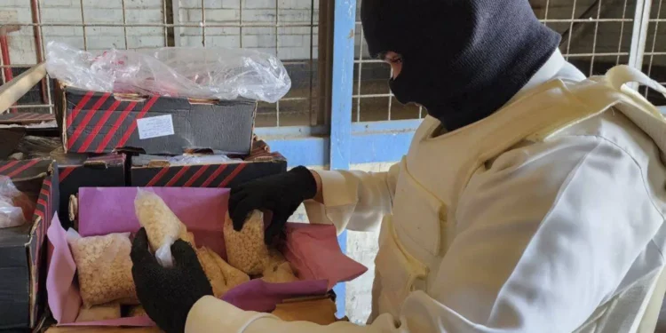 مصدر أمني: اعتقال أخطر تجار المخدرات في سوريا والمنطقة بالتنسيق مع تركيا