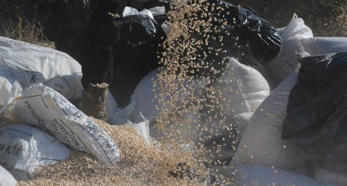 تحديات ما بعد الأسد: شبكات الكبتاغون بين التفكيك وإعادة التموضع