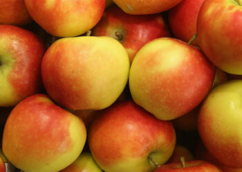 لماذا يجب تناول التفاح يوميًا؟