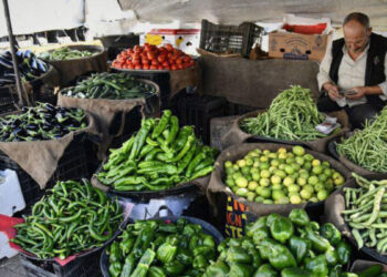 “الاستيراد والتصدير” توقف توريد منتجات زراعية خلال كانون الأول