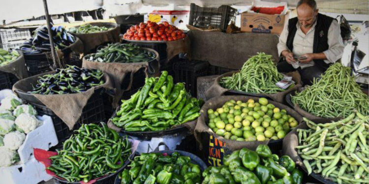 “الاستيراد والتصدير” توقف توريد منتجات زراعية خلال كانون الأول