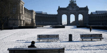 باستخدام الذكاء الاصطناعي.. عصابة تنتحل شخصية العائلة المالكة البلجيكية للاحتيال