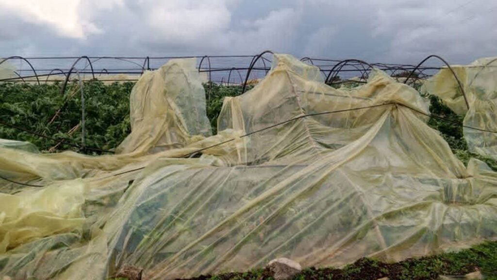 “تنين بحري” يضرب قرية ضهر صفرا بريف طرطوس