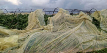 “تنين بحري” يضرب قرية ضهر صفرا بريف طرطوس